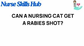 The Curious Case of Nursing Cats: Can They Receive Rabies Vaccines?