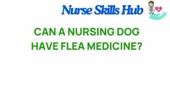 Can a Nursing Dog Safely Use Flea Medicine? Unraveling the Truth