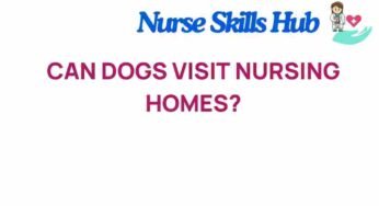 Can Dogs Visit Nursing Homes? Discover the Surprising Benefits