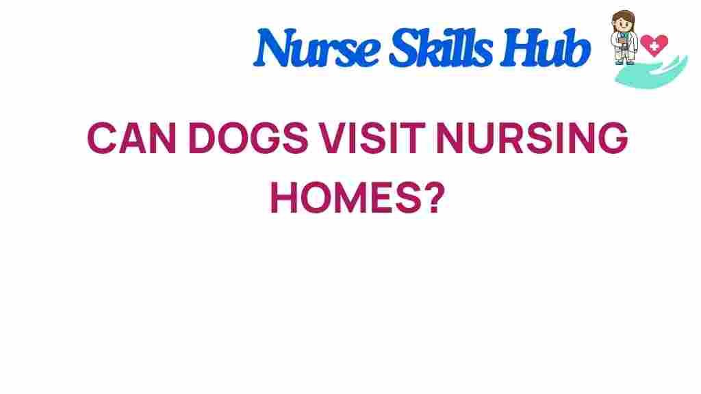 can-dogs-visit-nursing-homes