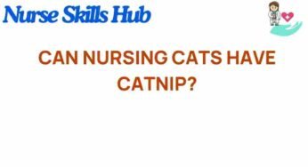 The Catnip Dilemma: Can Nursing Cats Enjoy This Herb?