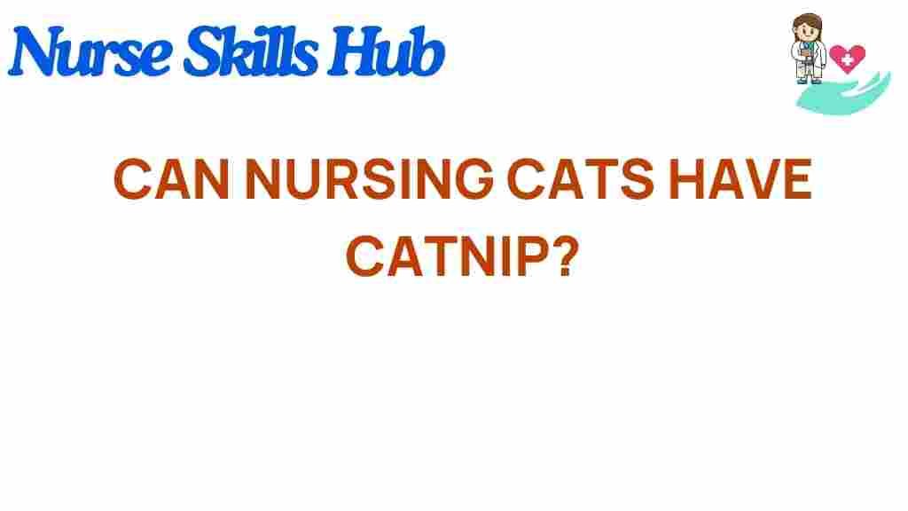 catnip-nursing-cats