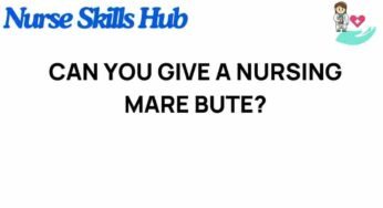 The Intriguing Dilemma: Can You Safely Administer Bute to Nursing Mares?