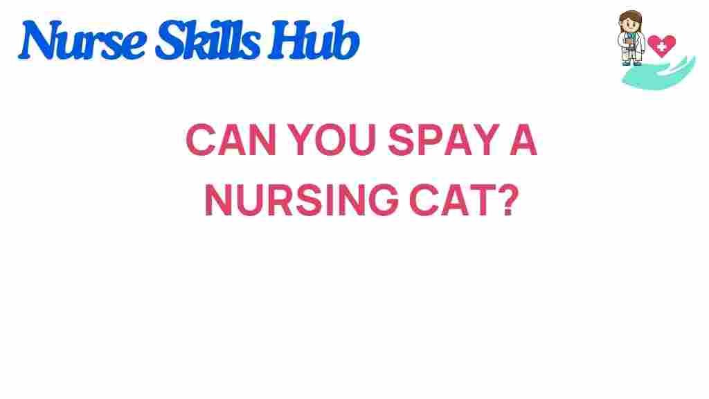 can-you-spay-a-nursing-cat