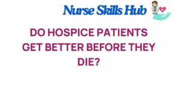 Do Hospice Patients Experience Healing Moments Before Death?