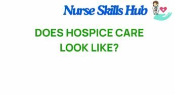 What Does Hospice Care Truly Entail? Uncovering the Myths