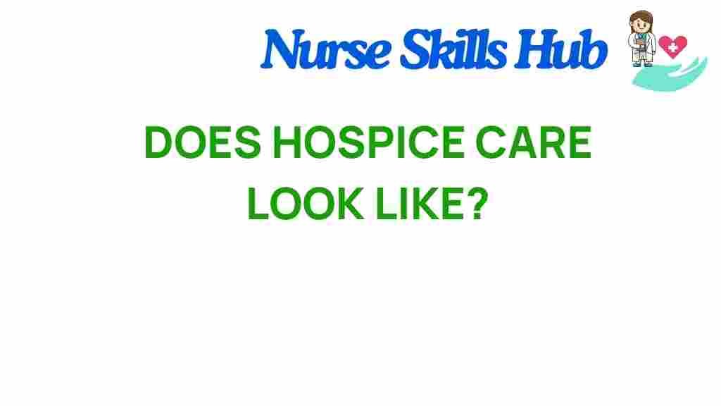 hospice-care-truly-entail