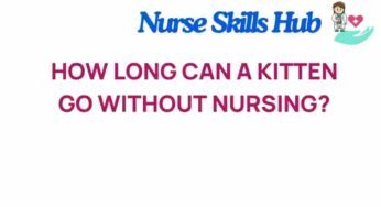 The Surprising Duration a Kitten Can Thrive Without Nursing