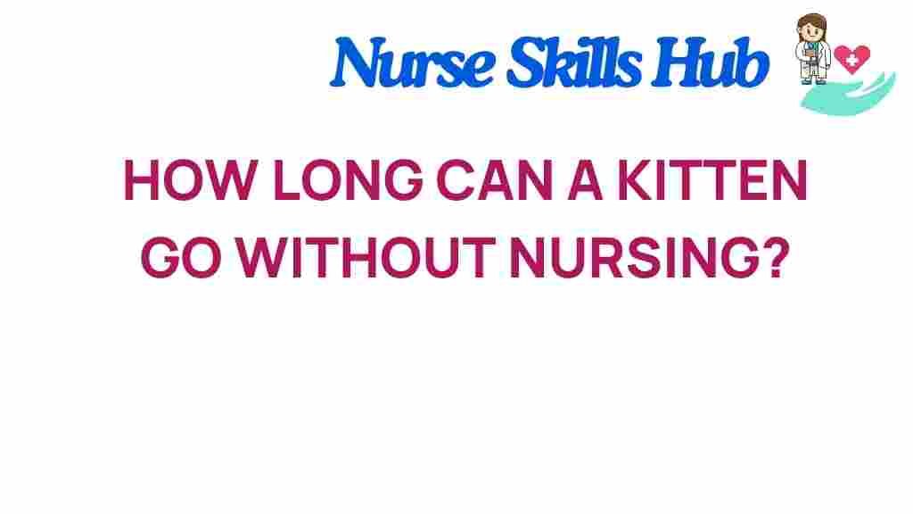 kitten-care-without-nursing