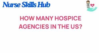 The Hidden Landscape: How Many Hospice Agencies Exist in the U.S.?