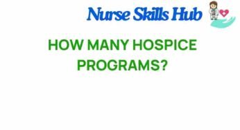 The Surprising Truth About Hospice Programs: Are They Enough?