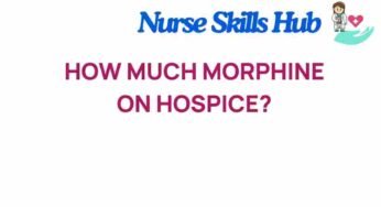 Unraveling the Mystery: How Much Morphine is Appropriate in Hospice Care?