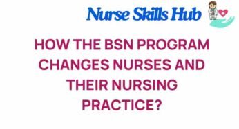 Transforming Nursing: The Impact of a BSN Program on Practice