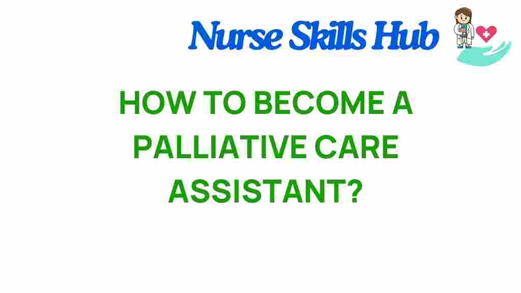 palliative-care-assistant