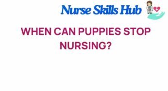 Unveiling the Mystery: When Do Puppies Transition from Nursing?