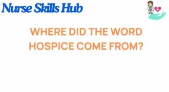 Unraveling the Origins of the Word Hospice: A Journey Through Time
