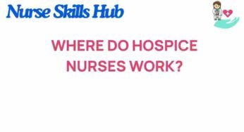 Unveiling the Hidden Workplaces of Hospice Nurses