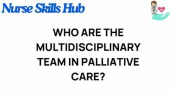 Unveiling the Multidisciplinary Team in Palliative Care: Who Are They?